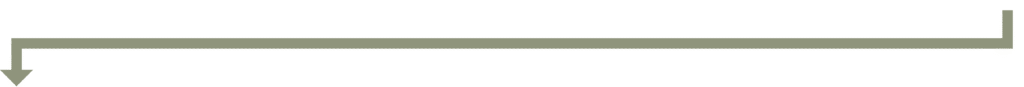 lines1